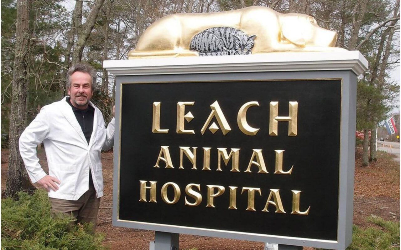 About Leach Animal Hospital Vet In Mashpee, MA, 02649