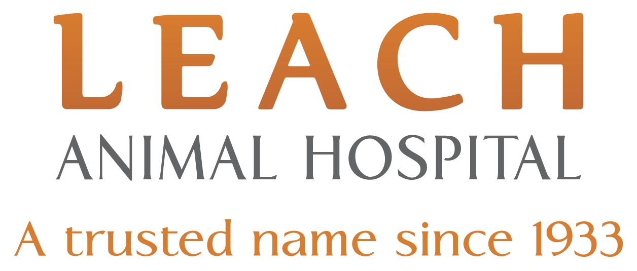 Leach Animal Hospital