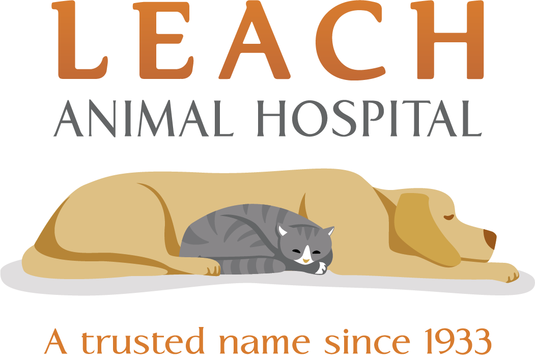 Leach Animal Hospital