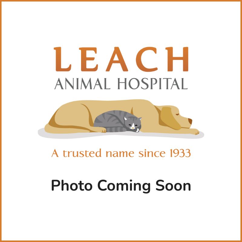 Coming soon image