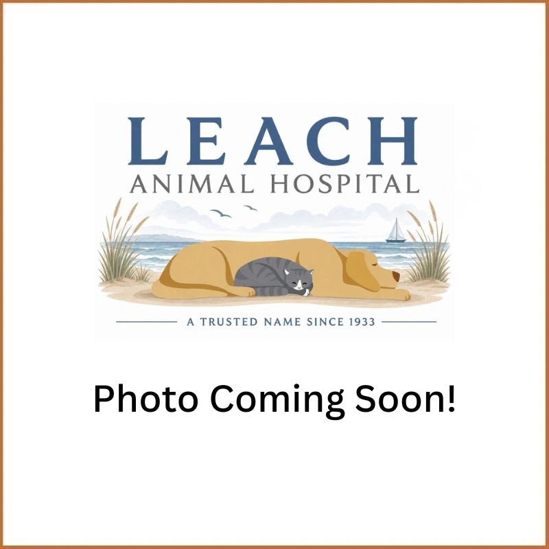 photo coming soon