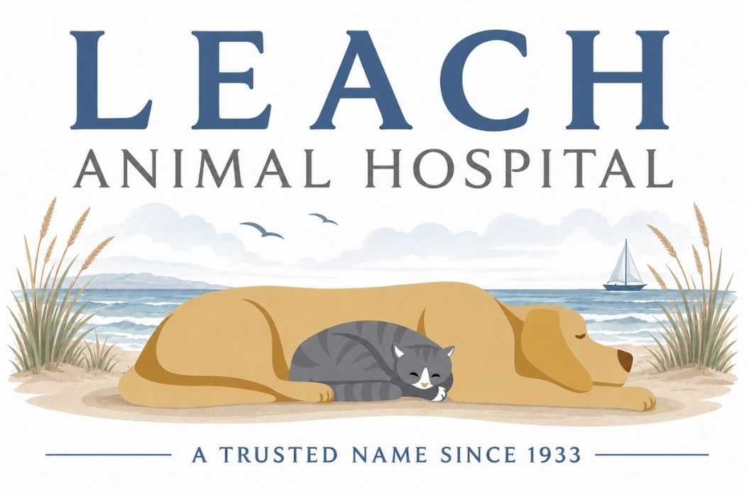 Leach Animal Hospital
